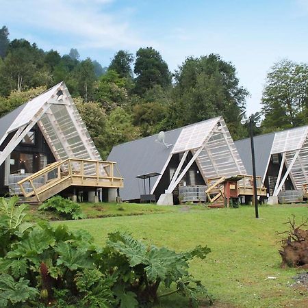 Termas De Aguas Calientes Villa Puyehue Bagian luar foto